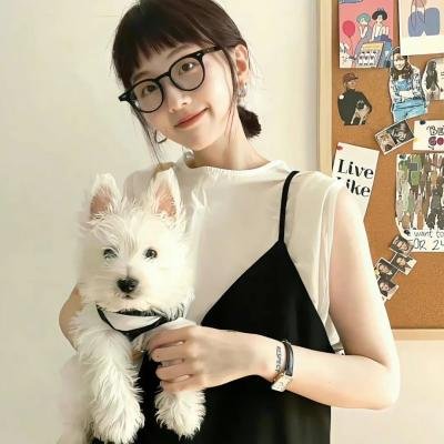 警犬赤龙